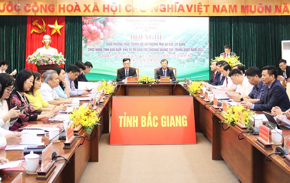 Hợp tác đưa vải thiều Bắc Giang xuất khẩu kịp thời, thuận lợi - ảnh 1