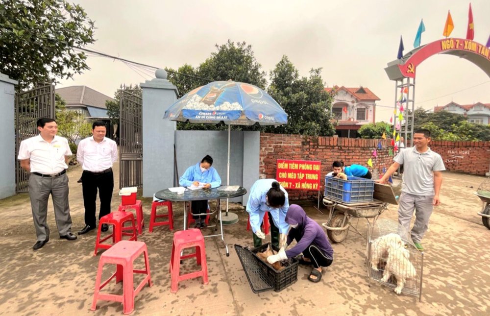 Ba người tại điểm tham quan ở Hà Nội bị chó dại cắn - ảnh 1