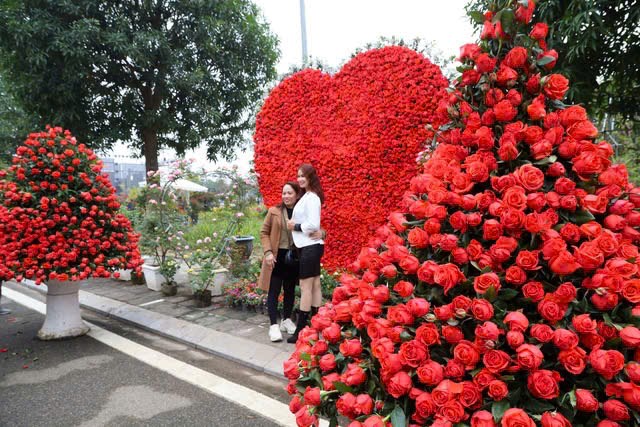 Phát huy giá trị làng nghề qua Festival hoa Mê Linh lần thứ 2 - ảnh 1