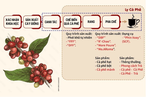 Thưởng thức cà phê phin Việt Nam kết hợp bộ pha trà Nhật Bản - ảnh 2