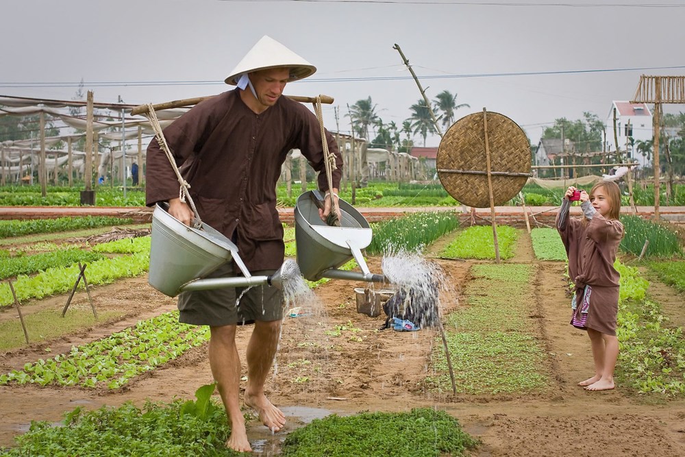 Làng rau Trà Quế chính thức được UN Tourism công nhận “Làng Du lịch tốt nhất” năm 2024  - ảnh 8