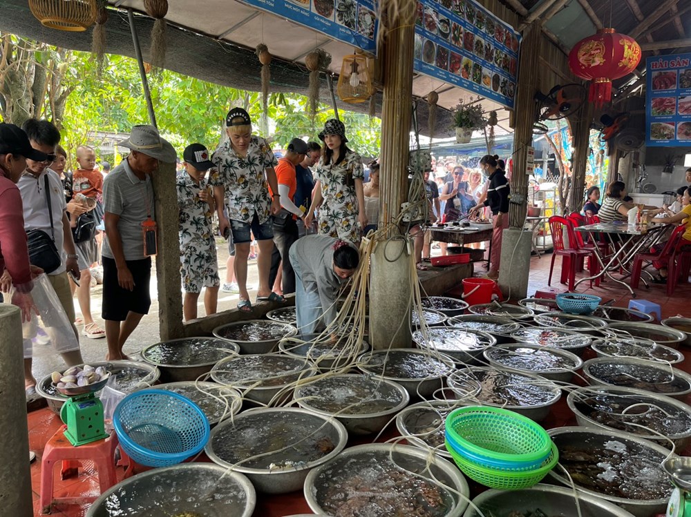 Xây dựng tuyến tham quan xanh tại đảo Cù Lao Chàm-Hội An - ảnh 7 Xây dựng tuyến tham quan xanh tại đảo Cù Lao Chàm-Hội An - ảnh 7