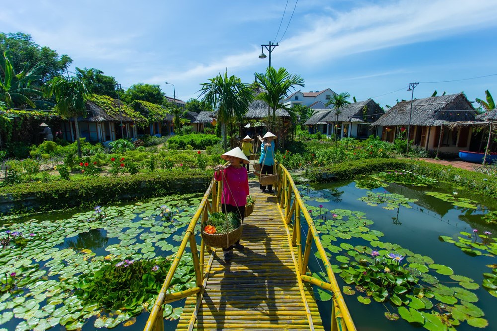 Ban hành Bộ tiêu chí du lịch xanh của 7 loại hình hoạt động du lịch  - ảnh 2