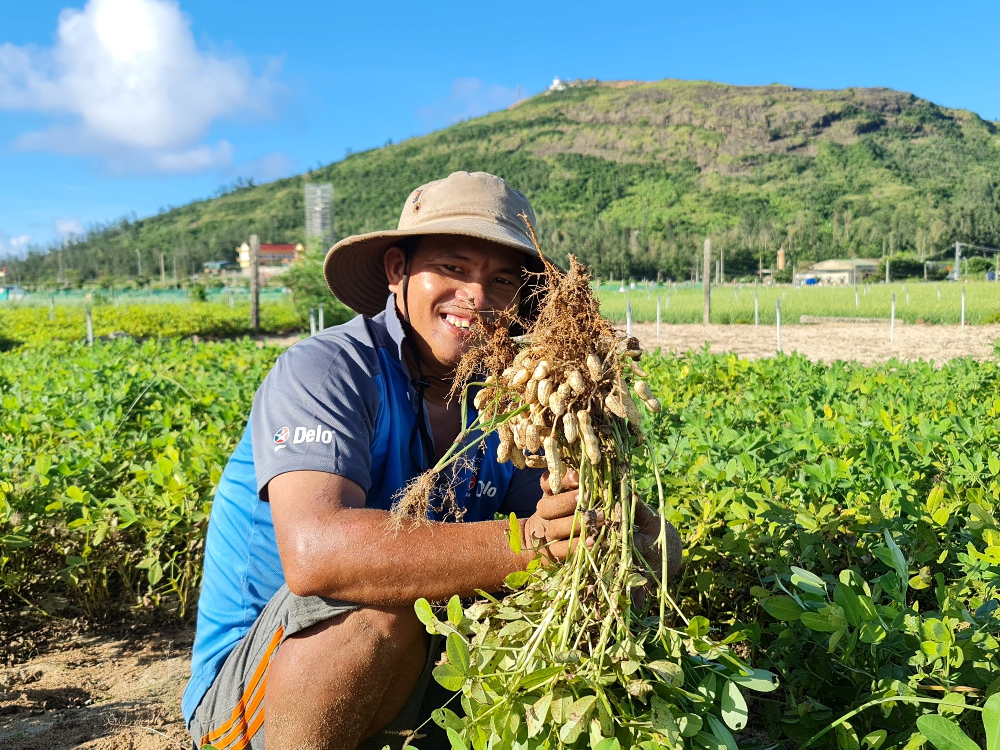 Nghề trồng hành tỏi ở đảo Lý Sơn - ảnh 10