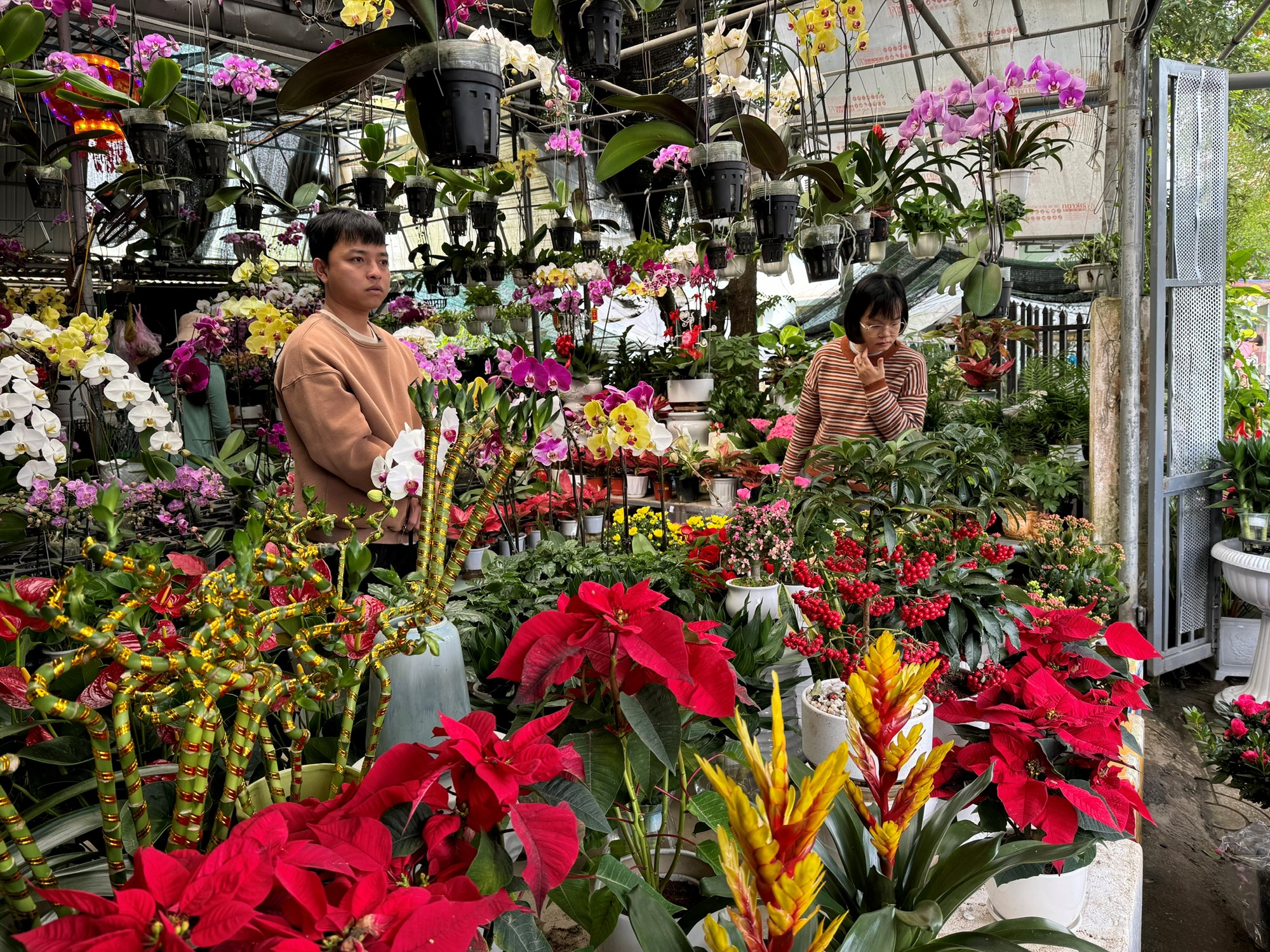 Đa dạng thị trường hoa, cây cảnh phục vụ Tết - ảnh 7