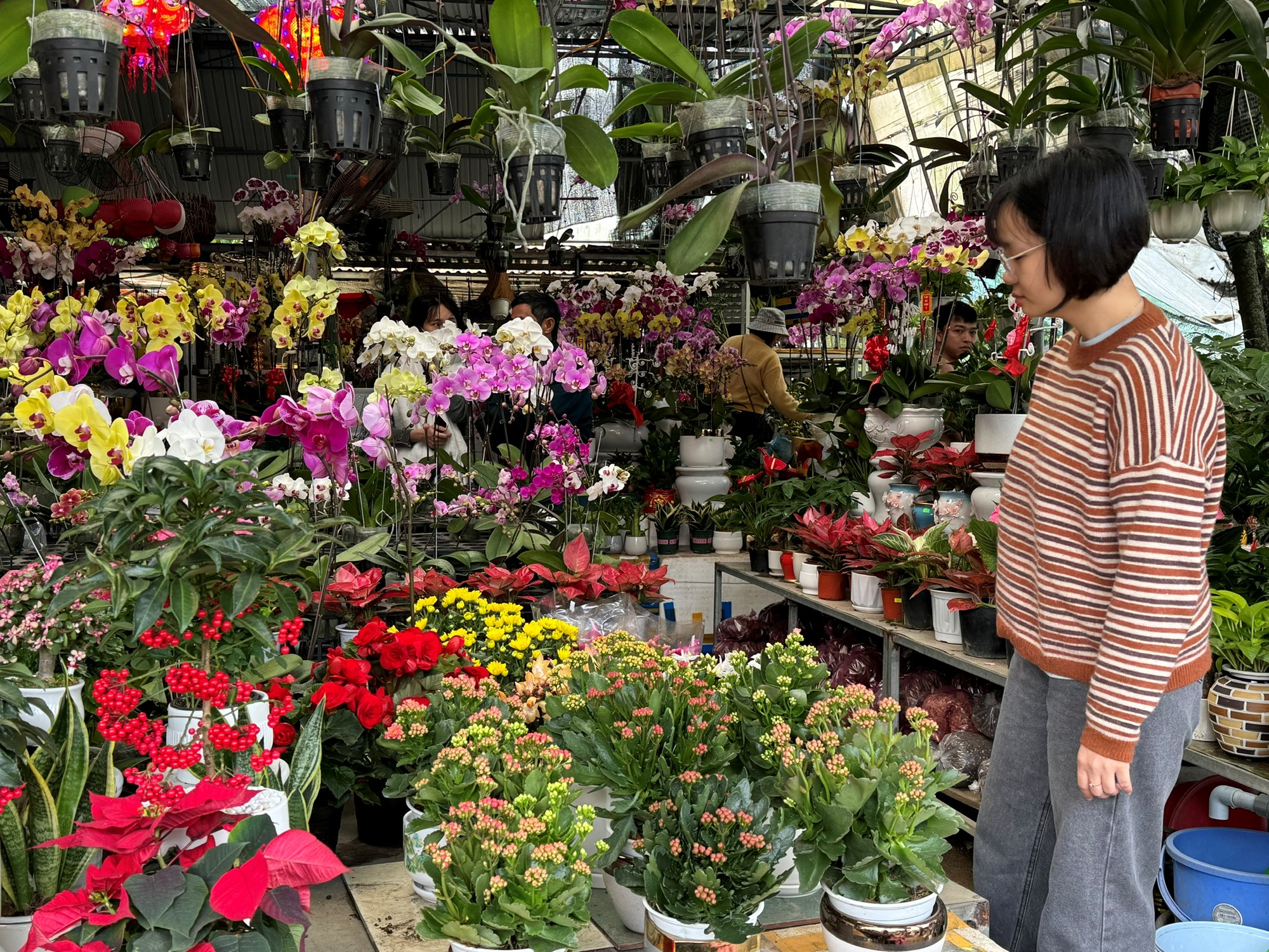 Đa dạng thị trường hoa, cây cảnh phục vụ Tết - ảnh 4