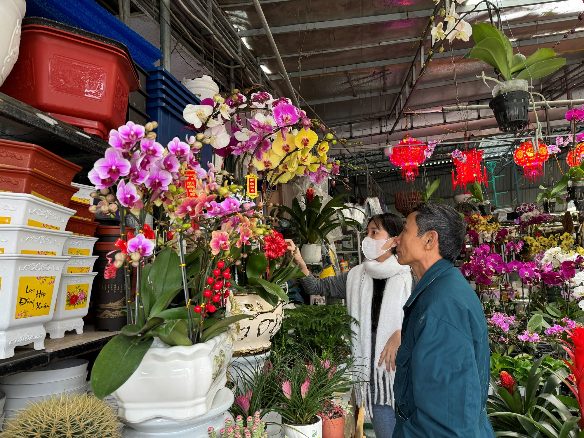 Đa dạng thị trường hoa, cây cảnh phục vụ Tết - ảnh 3
