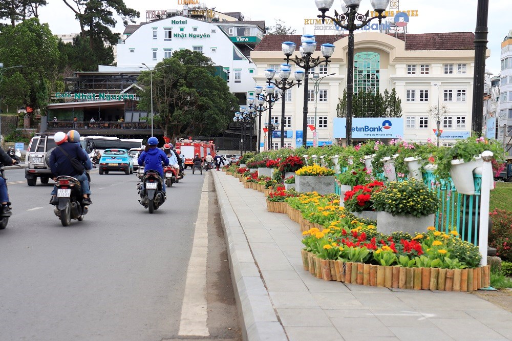 Hoa Đà Lạt hối hả “xuống phố” trước thềm khai mạc - ảnh 2