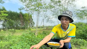Quảng Ngãi: Tuổi trẻ khởi nghiệp từ nông nghiệp sạch gắn với dịch vụ du lịch