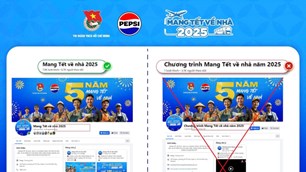 Cảnh giác với website giả mạo chương trình “Mang Tết về nhà” 