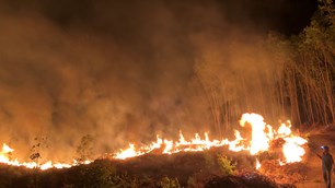 Giảm thiểu nguy cơ cháy rừng từ đốt thực bì