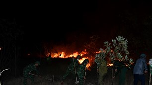 Vụ cháy rừng phòng hộ ven biển Hải Ninh đã được khống chế
